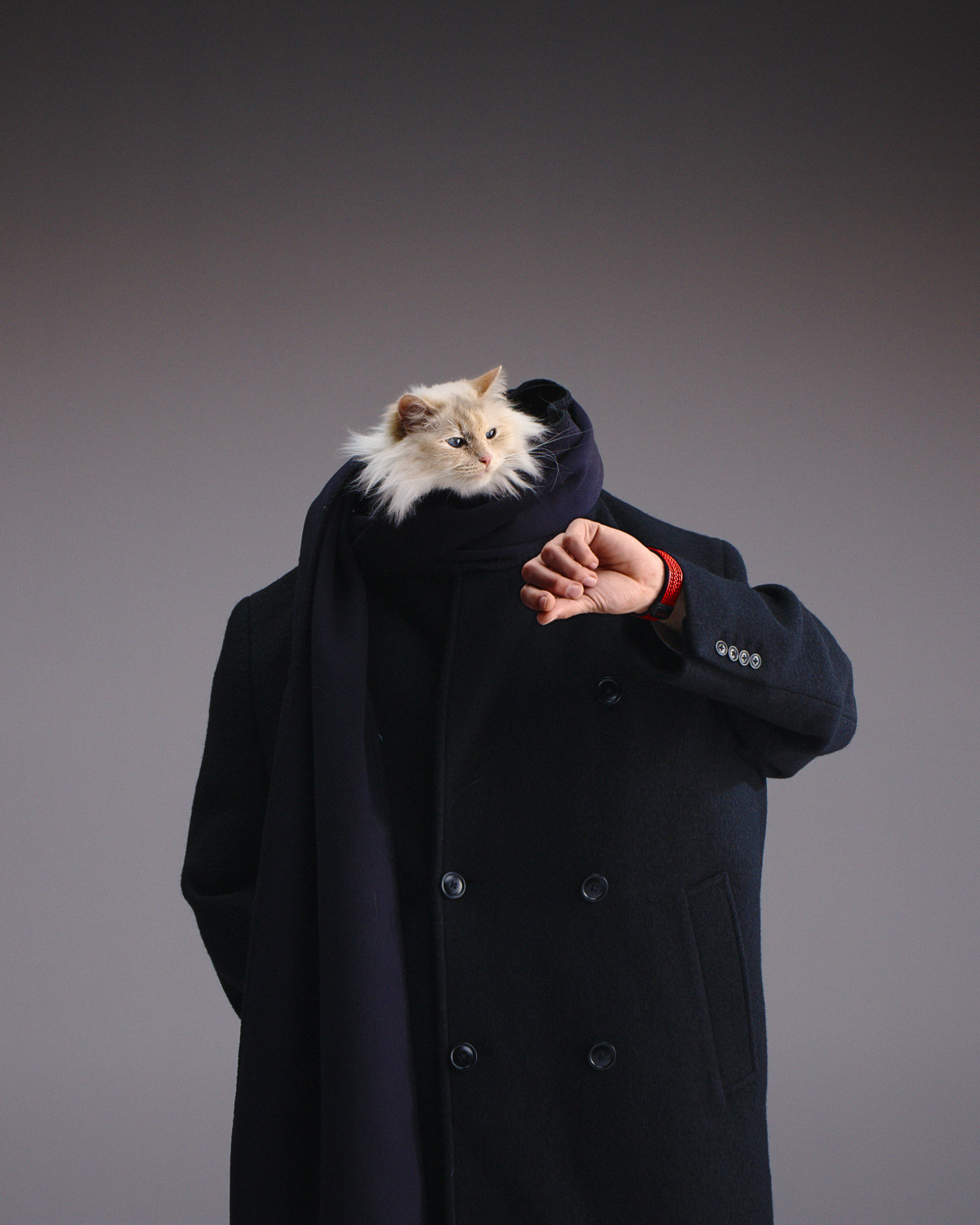 CHOUPETTE AND HUBLOT: A CAMPAIGN WE DIDN