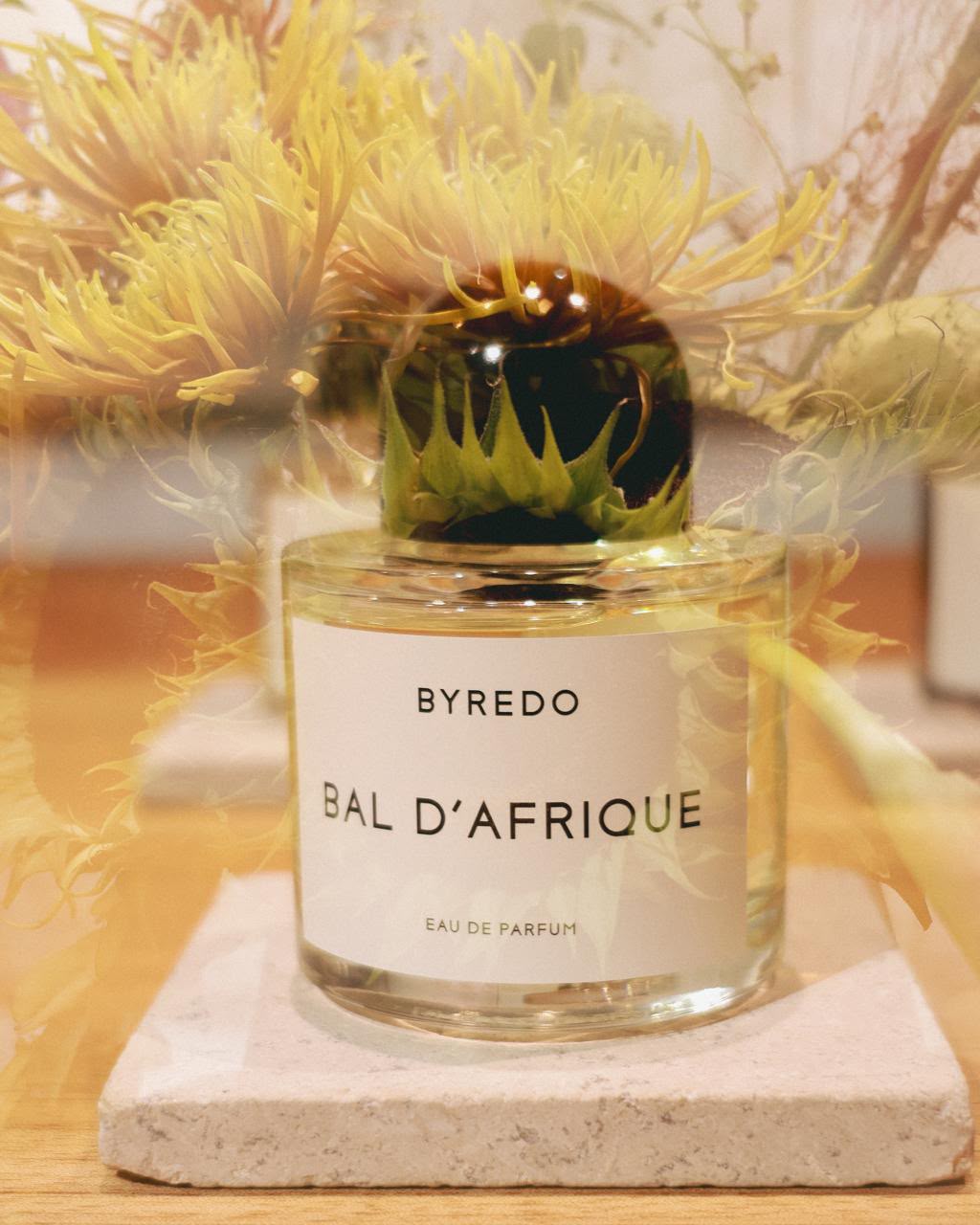 EL ATERRIZAJE DE BYREDO EN MÉXICO: UNA ARQUEOLOGÍA SENSORIAL