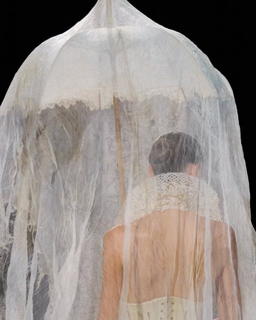 IN THE NEST OF ROMANTICISM: ASHI STUDIO COUTURE FW26