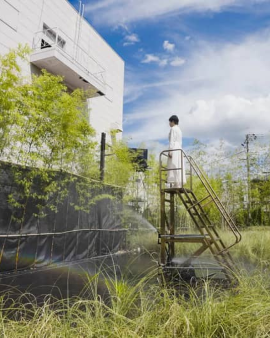 TEAMLAB TURNS AN EMPTY LOT INTO A FANTASY FIELD (BUT ONLY IF IT